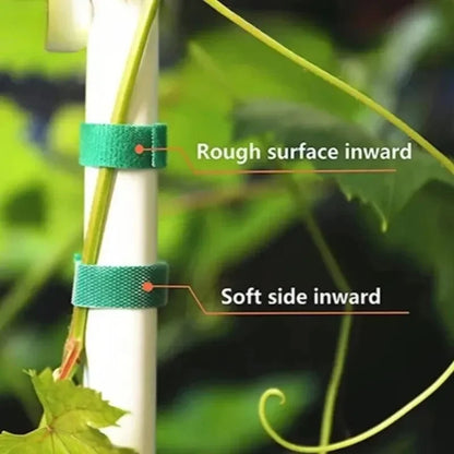 Reusable Garden Ties: The Ideal Solution for Your Plants