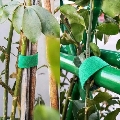 Reusable Garden Ties: The Ideal Solution for Your Plants