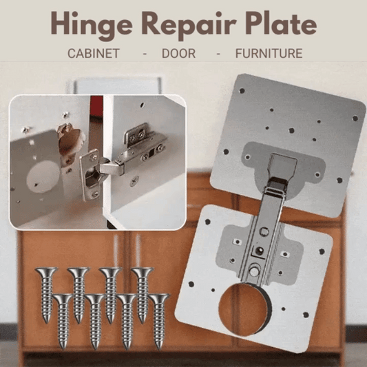 Hinge Repair Kit